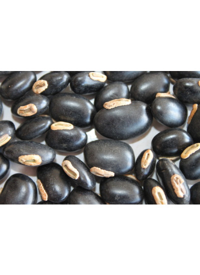 Sementes de MUCUNA PRETA (Grão Classificado) - Embalagem de 01 Kg