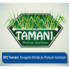 Sementes Panicum maximum cv. BRS TAMANI Revestidas - 12 kg - 1