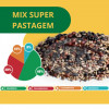 Mix Super Pastagem - 25 kg - 1