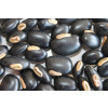 Sementes de MUCUNA PRETA (Grão Classificado) - Embalagem de 01 Kg - 1