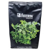 Sementes de Coentro Verdão SF 177 - Embalagem 500 g - Feltrin - 2