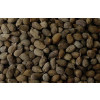Sementes de Amendoim Forrageiro cv. Amarillo - Embalagem 10 kg - 2
