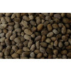 Sementes de AMENDOIM FORRAGEIRO cv. Amarillo - Embalagem 01 kg - 2