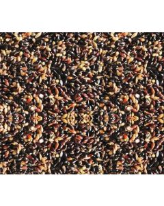 Sementes de CAPIM SUDÃO IPA SUDAM 4202 - Embalagem 40 kg - Sob Consulta