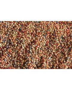 Sementes de CROTALARIA OCHROLEUCA  - Embalagem de 25 Kg 