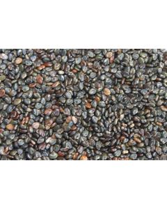 Sementes de CROTALARIA SPECTABILIS - Embalagem 25 kg