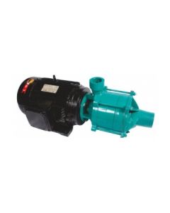 Motobomba Elétrica Mono 220/440V Centrífuga Multiestágio 2" x 1 1/2" - ECM2 - 5.0/3 AL - Eletroplas 