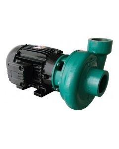 Motobomba Elétrica Mono 220/440V Centrifuga Monoestágio 2 1/2" x 2 1/2" - ECS-500 M/T - Eletroplas