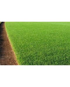 Sementes de GRAMA BERMUDA MIRAGE 2 Incrustadas  - 10 g / m2 - Embalagem de 01 kg - CONSULTE O PREÇO!
