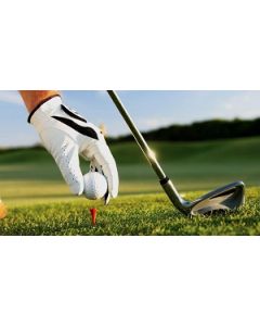 Sementes de Grama SABRE POA TRIVIALIS III - Embalagem de 22,68 kg