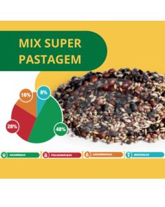 Mix Super Pastagem - 25 kg