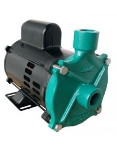 Motobomba Elétrica 3 CV Mono 110/220V Centrifuga Monoestágio 1 1/2" x 1 1/2" - ECS-300 M/T - Eletroplas