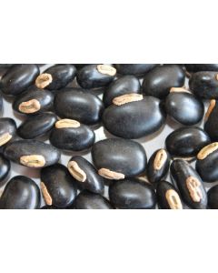 Sementes de MUCUNA PRETA (Grão Classificado) - Embalagem de 01 Kg