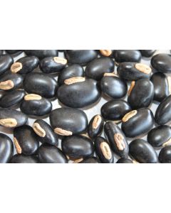 Sementes de MUCUNA PRETA  - Embalagem de 40 Kg - Consulte o preço!