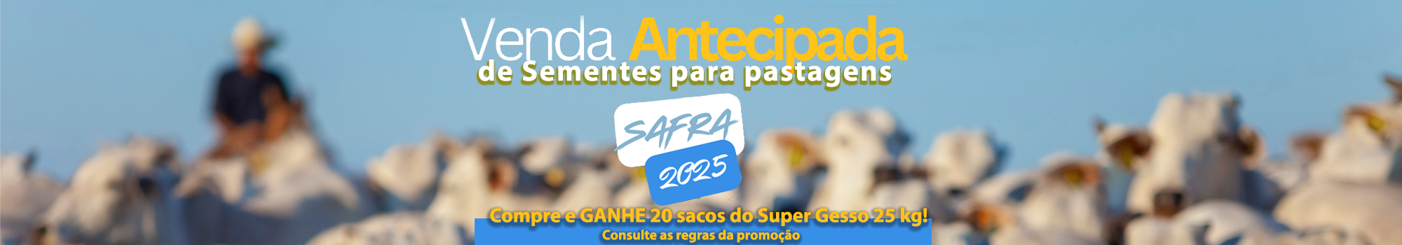 Fullbanner-vendaantecipada2025