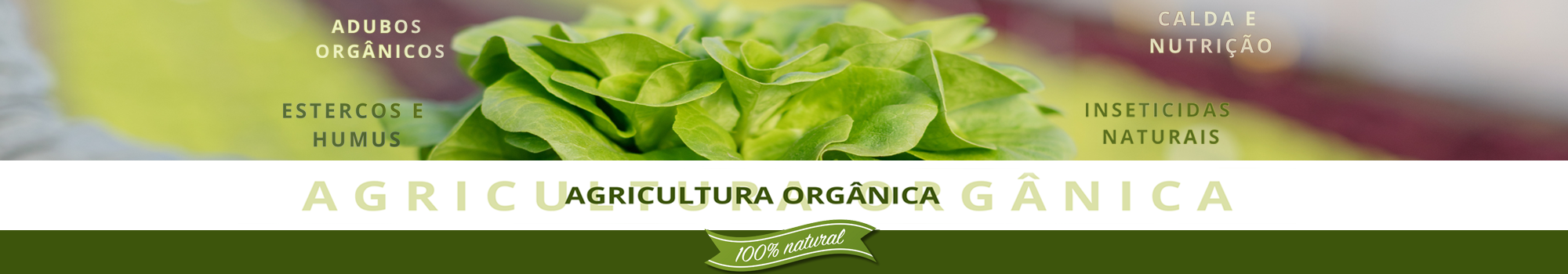 Fullbaner agricultura organica