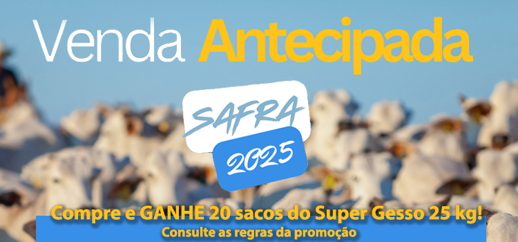 Fullbanner-vendaantecipada2025