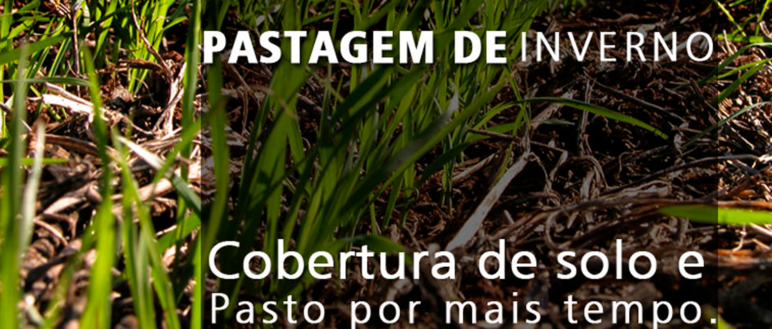 Banner Secudário-Pastagem de inverno