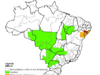 Mapa Brasil Milho Safrinha