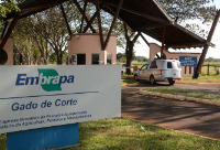 Embrapa Gado Corte